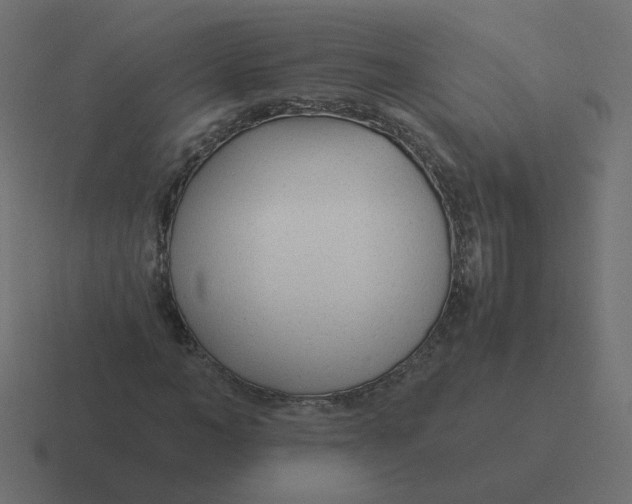 X0000116390966200912291747