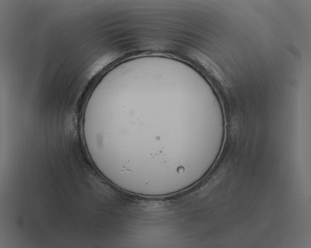 X0000116390970200912291747