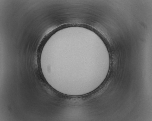 X0000116390974200912291747