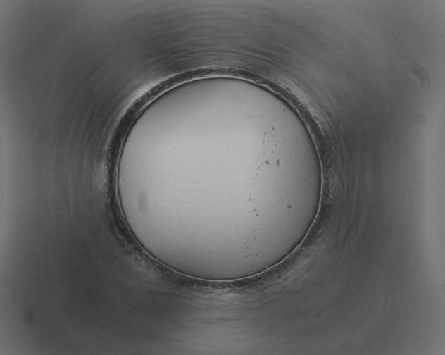 X0000116390975200912291747