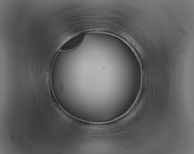X0000116390985200912291747