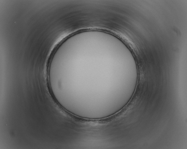 X0000116390990200912291746