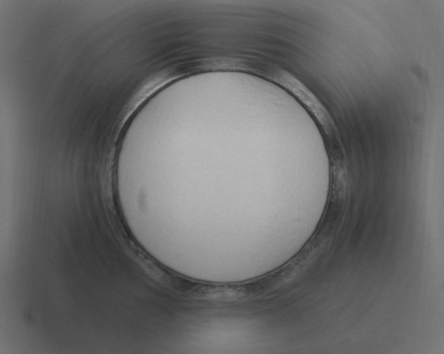 X0000116391002200912291746