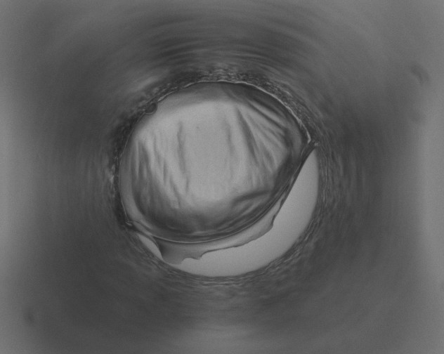 X0000116391013200912291746