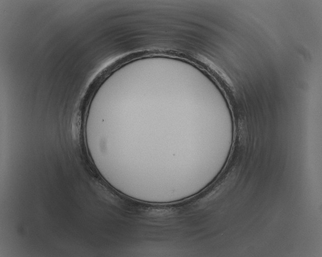 X0000116391021200912291746