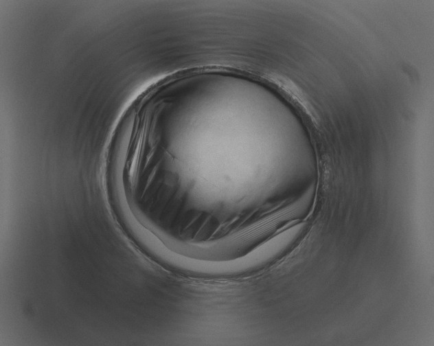 X0000116391024200912291746