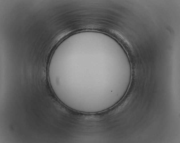 X0000116391025200912291746