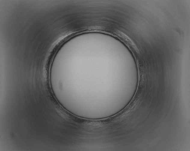 X0000116391027200912291746
