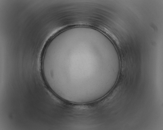 X0000116391037200912291746