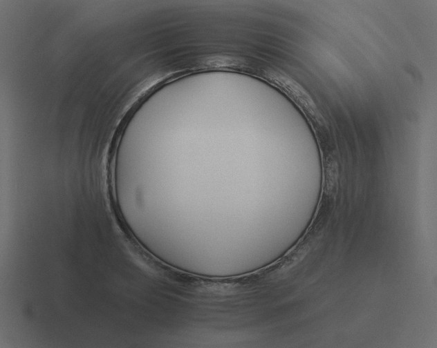 X0000116391039200912291746