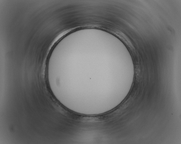 X0000116391044200912291746