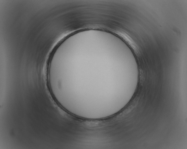 X0000116391046200912291746