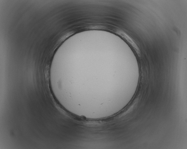 X0000116391049200912291746