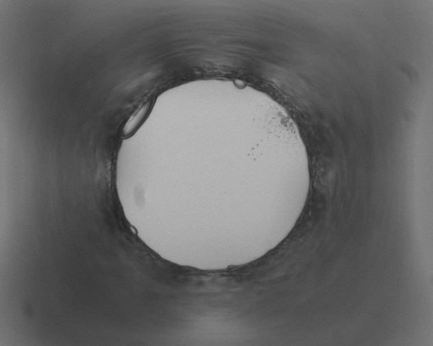 X0000116391061200912291746
