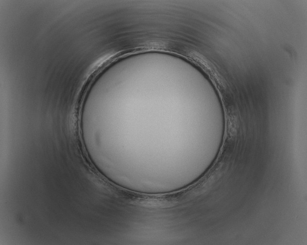 X0000116391074200912291745