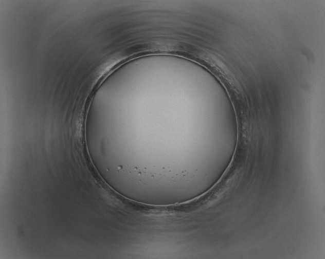 X0000116391081200912291745