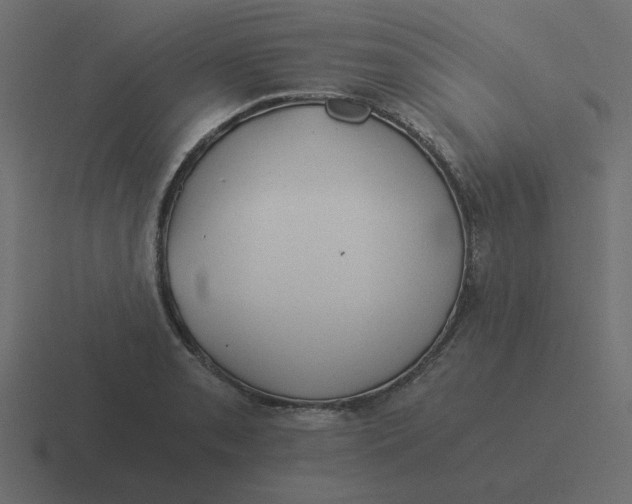 X0000116391085200912291745