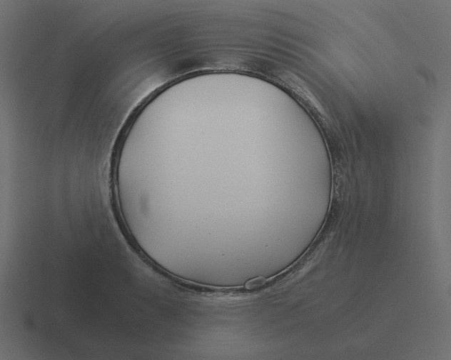 X0000116391087200912291745