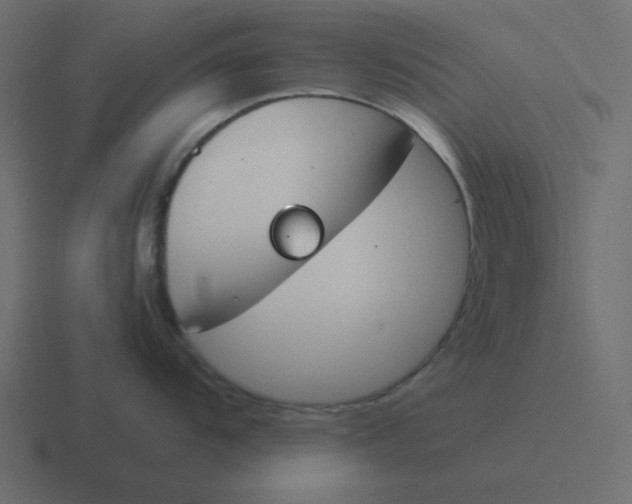 X0000116391104200912291745