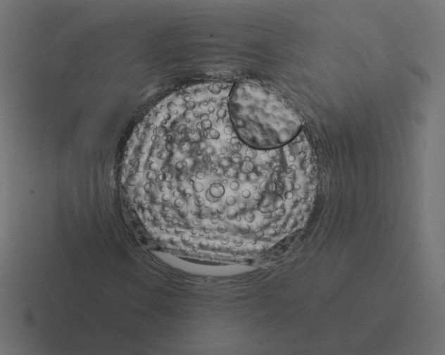 X0000116391106200912291744