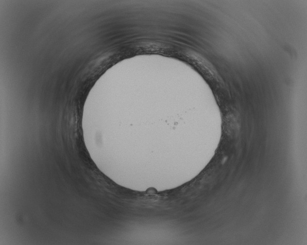 X0000116391111200912291745
