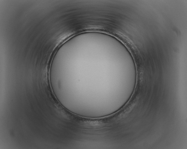 X0000116391121200912291745