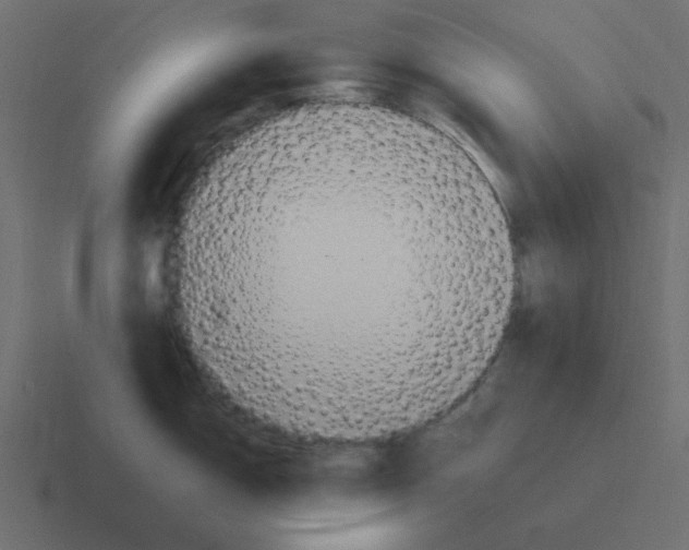 X0000116391150200912291745