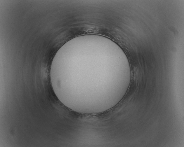 X0000116391154200912291744