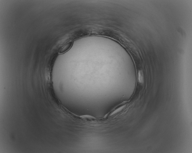 X0000116391155200912291744