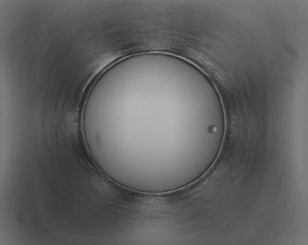 X0000116391170200912291744