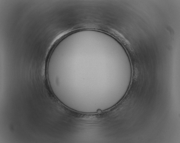 X0000116391174200912291744