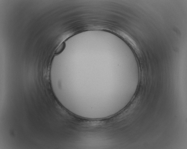 X0000116391193200912291744