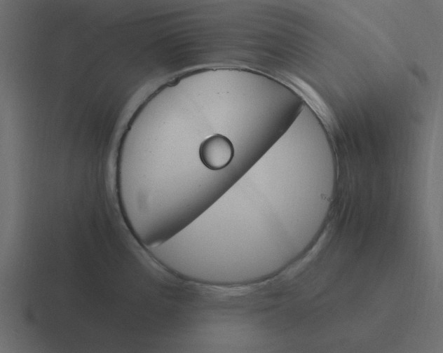 X0000116391196200912291744