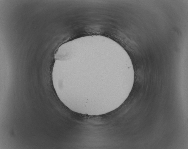 X0000116391201200912291743