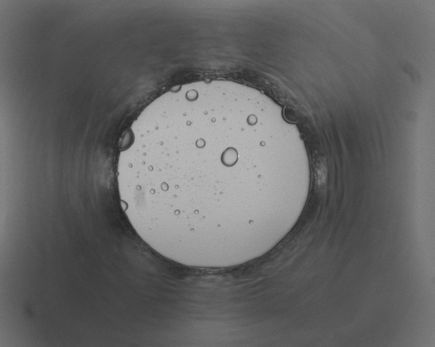 X0000116391204200912291743