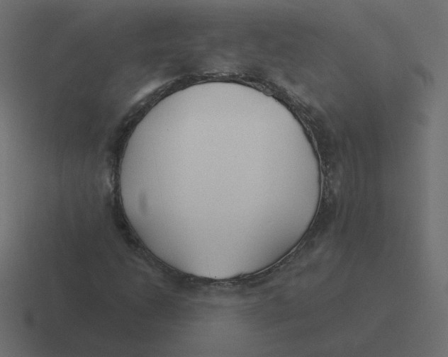 X0000116391206200912291743