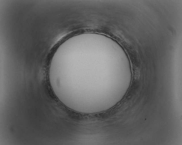 X0000116391208200912291743