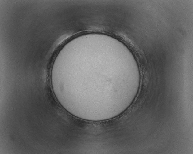 X0000116391215200912291743