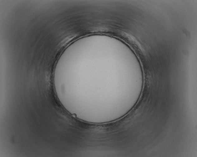 X0000116391217200912291743