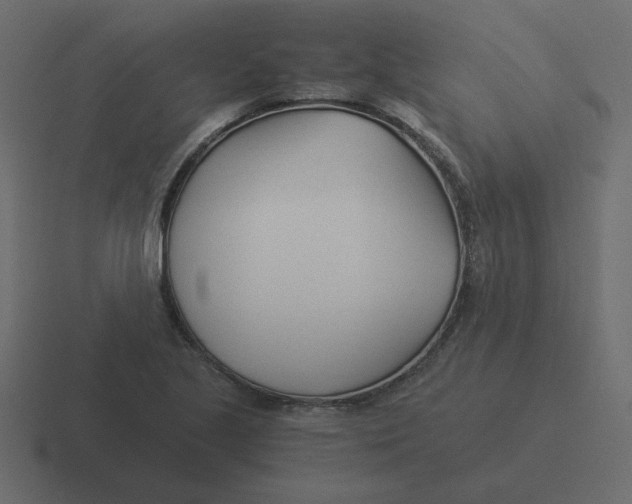 X0000116391221200912291744