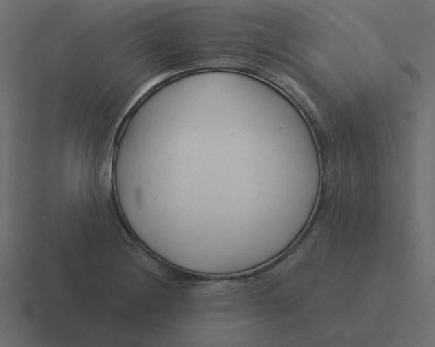 X0000116391228200912291744