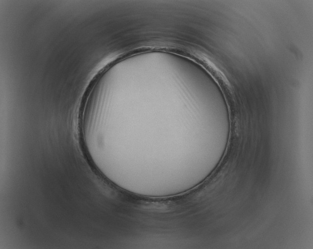 X0000116391229200912291744