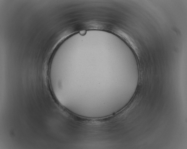 X0000116391235200912291744