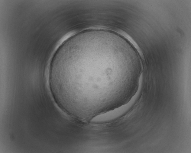 X0000116391245200912291744