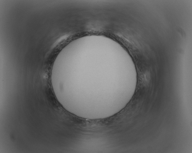 X0000116391254200912291743