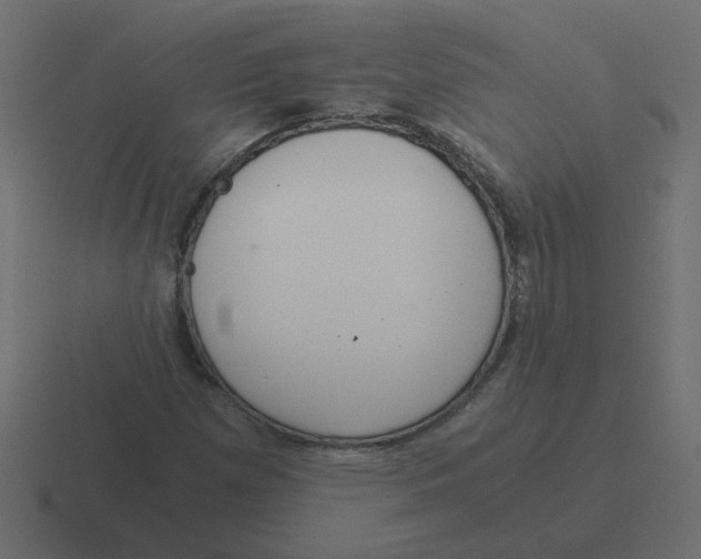 X0000116391257200912291743
