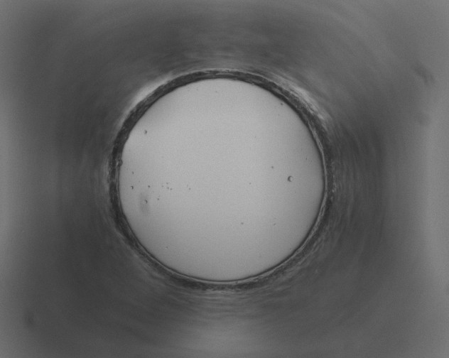 X0000116391264200912291743