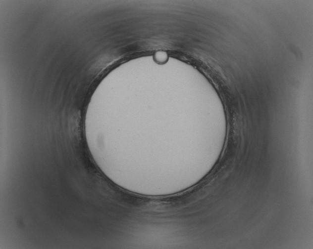X0000116391265200912291743