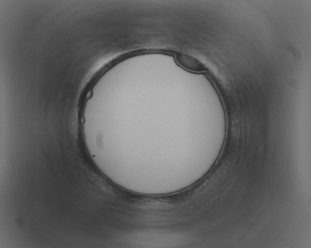 X0000116391270200912291743