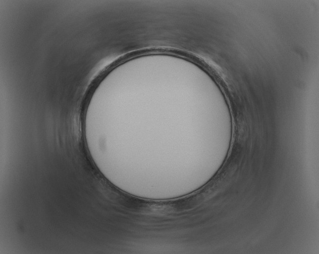 X0000116391271200912291743